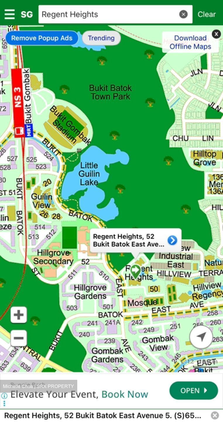 Regent Heights (D23), Condominium #624338541